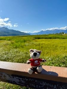 southpaw plush jaguar sits on a wooden rail with alakan scenery in the background