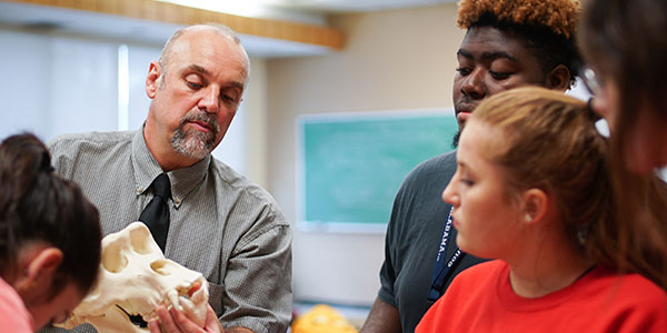 Dr. Carr working with skull in class with students.