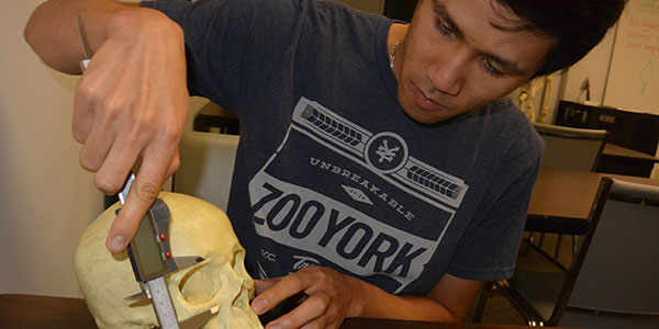 Student working on skull with a tool.