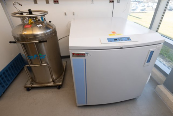 freezer and liquid nitrogen units