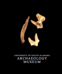 Animal Bone Fragments